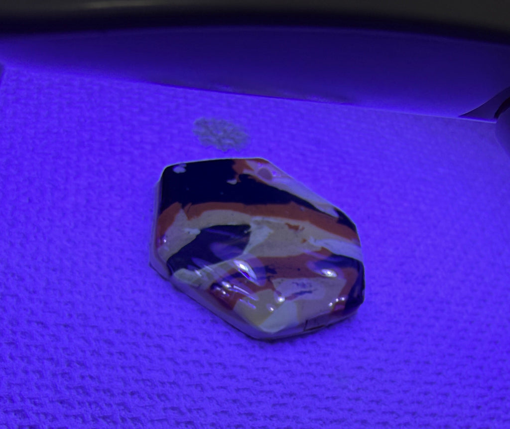 Polymer Clay Resin Earrings